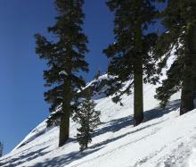 By 9am rollerballs and small loose wet activity was occurring naturally off steep rock faces.