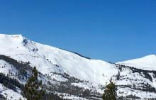 Large old crown across entire lower pitch of Ralston peak. 