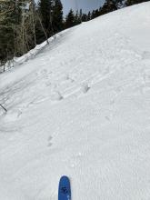 Skier triggered pinwheels on a SE aspect at 8500 ft. at 11:20 am.