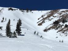 Limited signs of loose wet instabilities at 11:45am on East Face gullies.
