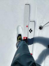 1 to 3 cm of corn snow on top of a supportable melt-freeze crust at 11:30 am