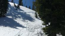 Skier triggered loose wet avalanche, 8,350', ENE aspect, 1:15pm.