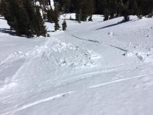 Small loose wet avalanche intentionally skier triggered at 12pm on NE aspect at 8800'