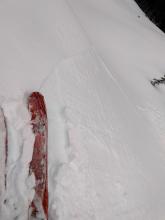 Small 1 to 4 inch slab triggered on an E facing test slope @ 8040 ft. that had just received a short period of sun-exposure