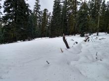 35-40 cm snow cover on ridgetop at ~7,800' with evidence of previous rain on snow.