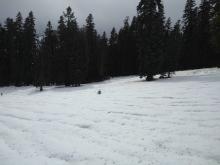 Another view of snow cover on ridgetop at ~7,900'.