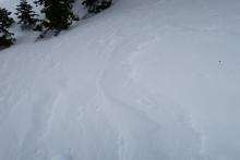 Evidence of previous wind effect on the snow surface even in near treeline terrain. 