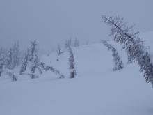 One of several natural wind slab avalanches on Andesite Peak, E aspect, ~8,100'.