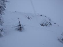 Another natural wind slab avalanche, above treeline terrain, ENE aspect, ~8,100'.