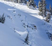 Looking back at the upper path of the avalanche. You can ski where the skier went over the buried rocks but was able to ski to safety. The upper crown is 12-14" and lower crown 24-30". 