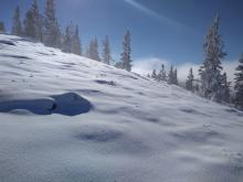 Sunny skies above the inversion layer. Rimed surface snow and plenty of snow available on W aspects for future wind transport.