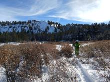 Early season conditions still exist especially at the lower elevations.