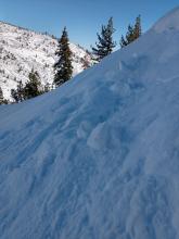 Cornice cuts produced small loose dry avalanches