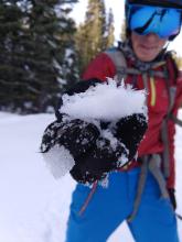 Large surface hoar on the snow surface in a sheltered area