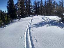 Unconsolidated snow along the ridgetop, still available for future wind transport.