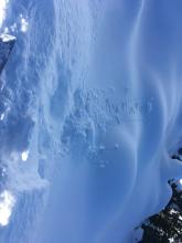 Stomping on small cornices on the ridge produced small breaks that didn't produce much excitement.