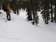 Skier triggered cracking in a small shallow slab on a wind-loaded pocket.