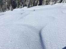 Wind blown snow texture on NW side of ridge to Castle. 