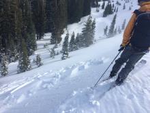 Skier triggered reactive windslabs along Wildflower Ridge.