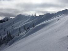 Multiple natural wind slab avalanches along the East Face of Mt. Judah.  All D1 in size.