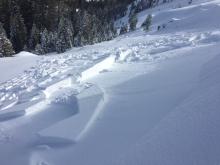 These wind slab avalanches along Mt. Judah were thought to have occurred mid morning.