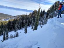 Another photo of same avalanche.