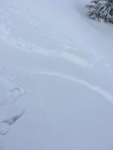 Looking down this small test slope at the bed surface, stauch wall, and debris. 