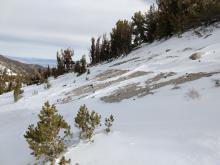 Wind scouring on a windward slope in near treeline terrain