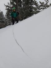 Skier triggered crack on a small wind loaded test slope.