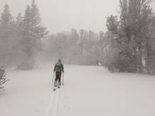 Stormy conditions at Tamarack. 