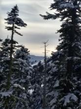 Some exposed rain crust just visible reflecting on the cornice top in upper Pole Creek.