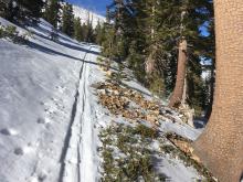 Sunny slopes are getting thin and starting to melt out in a few areas. 