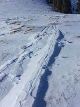 Reverse skin track, with wind erosion on the east side due to NE winds.