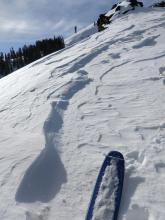 Signs of wind scouring on an exposed ridge.