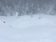 Skier triggered D1 wind slab avalanche on NE aspect at 8000'.  50' wide x 70' long.