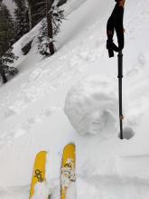 large roller balls on E aspect with warm/wet new snow