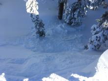 Cornice break in response to a wicked splitboard kick. 