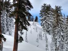 Large cornice we attempted to drop on steep N aspect