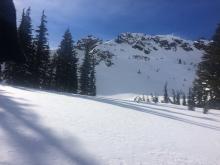 A fairly large old crown at Needle Lake. Debris have since been buried under new/blowing snow