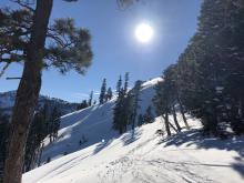 Crown of a slide on north facing slope