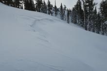 Crown from a natural avalanche during storm.