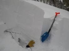 Profile of avalanche crown. Facets are by fingers of glove. Shovel blade is roughly at bed surface.