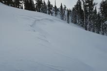 Crown at midpoint of avalanche. 