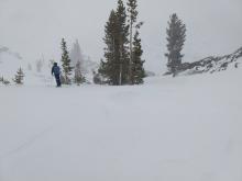 A mix of new snow on crusts and exposed crusts on leeward slopes.