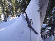 Significant settlement of recent storm snow on E side of Andesite.