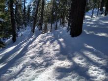 Cold snow with tree drippings on N aspects below treeline. Most prominent below 8,000'.