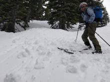 Small pinwheels and rollerballs triggered by a ski cut on an ENE facing slope around 8200 ft. 