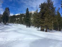 Melting snow surfaces exposed to full sun. View of the S face of Waterhouse Peak