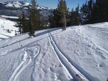 Shallow surface facets on NNE aspect terrain, unaffected by previous melt. We were breaking trail for this skin track.