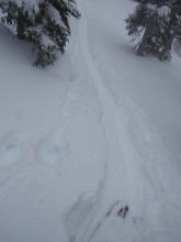 Above 8200', 12'' of new snow.